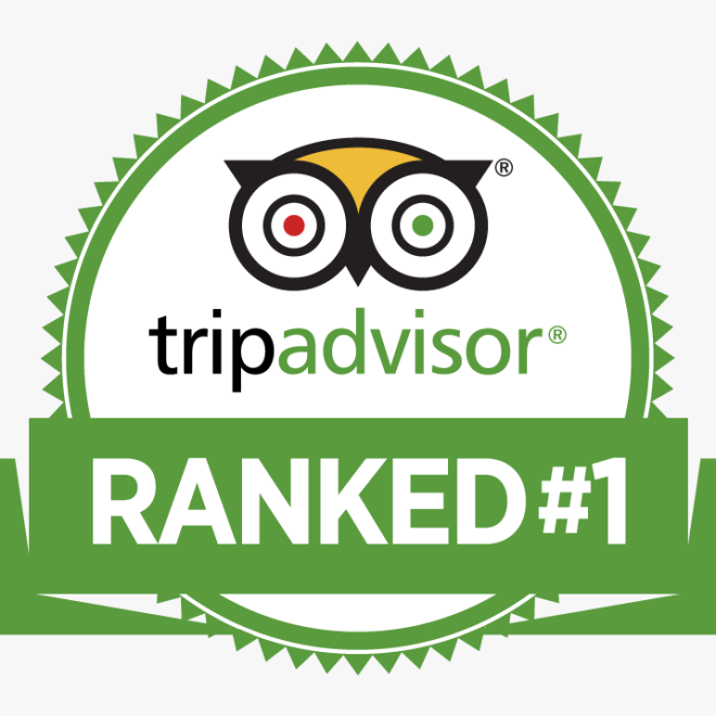 Ranked #1 Nightlife & Dancing Experience In Miami - Salsa Mia!