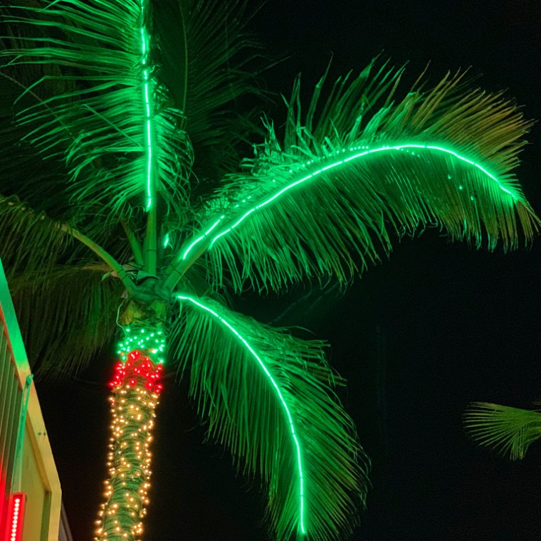 fireworks in the sky