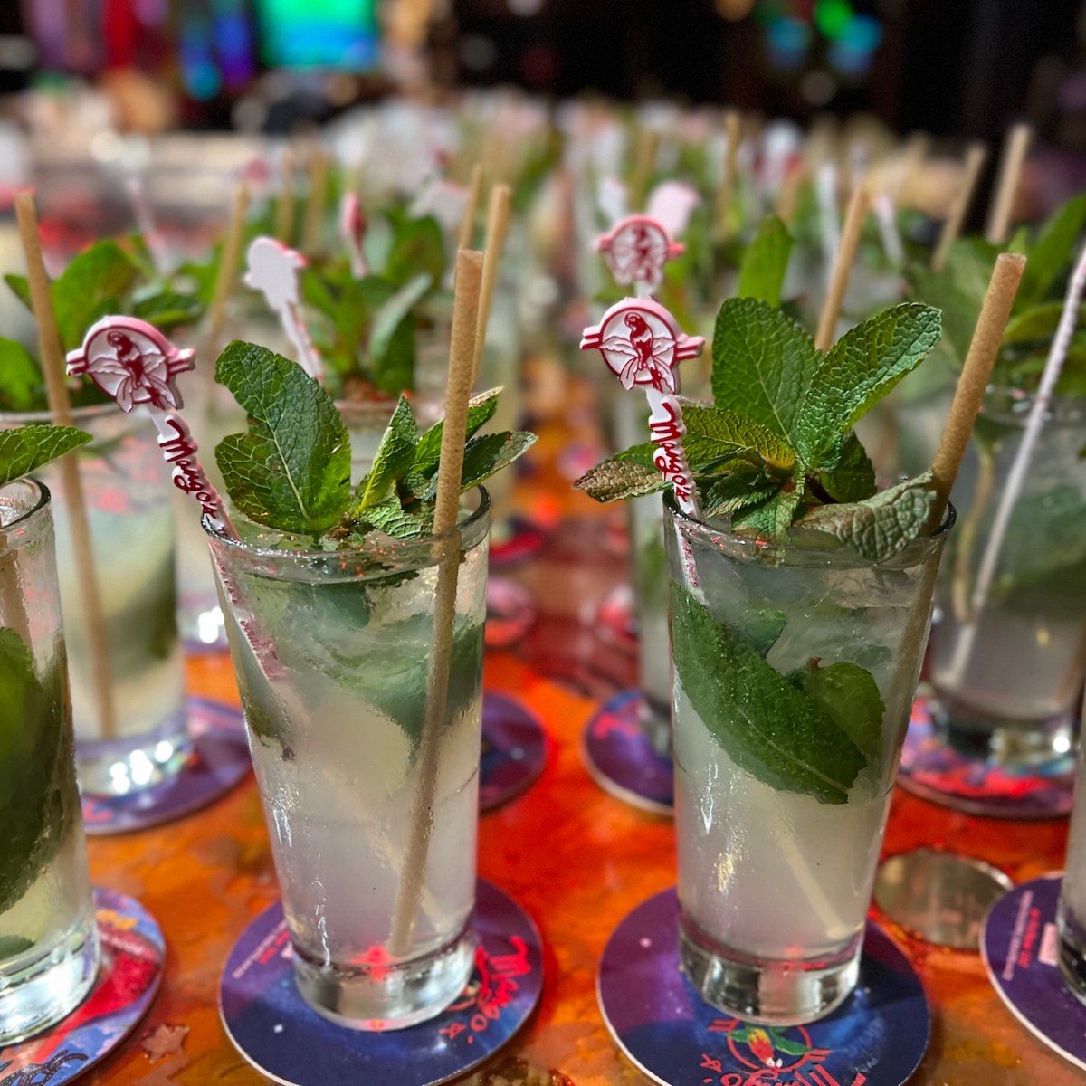 Miami Beach salsa lessons and nightlife experience at Salsa Mia on Ocean Drive