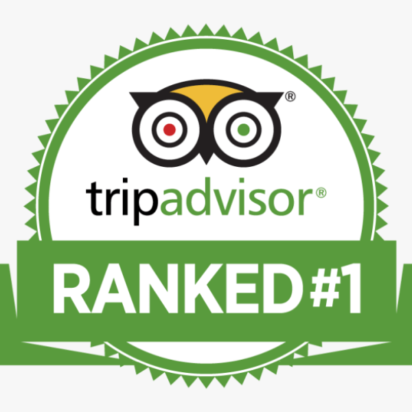 TripAdvisor top-rated thing to do in Miami Beach Salsa Mia experience